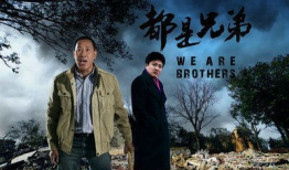 电视剧兄弟,命运交织的血脉传奇